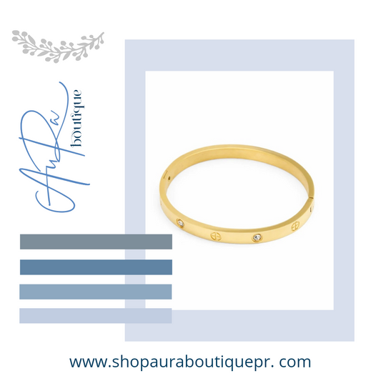 AuRa Screw Shine Bangle